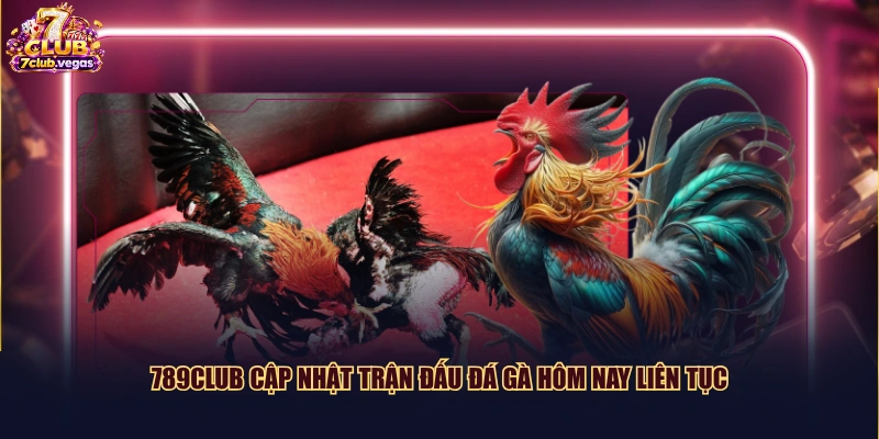 789CLUB cập nhật trận đấu đá gà hôm nay liên tục