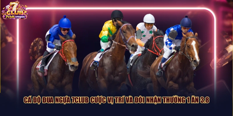 Cá độ đua ngựa 7CLUB cược vị trí và đôi nhận thưởng 1 ăn 3.8